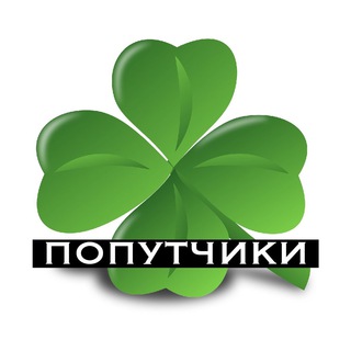 Ирландия (попутчики) 🐈☘️🐕🦺
