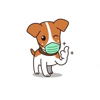 Чат комментарии 5 🐶 МАРСЕЛЬ