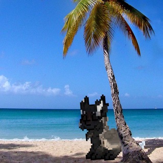 ηɑʌьⲙɑ ɑʌьⲙы~🏝️