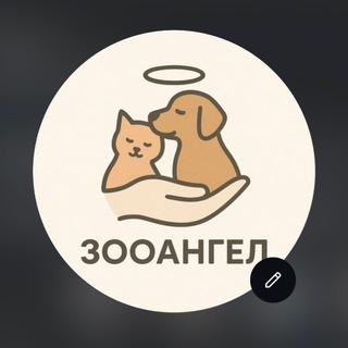 Пушистики❤️🐾